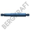 BERGKRAFT BK6700035 Shock Absorber